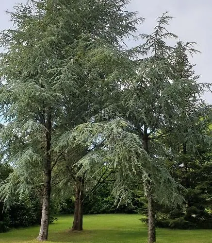 Hawaï, Avec Parking Securisé La Roche-sur-Yon